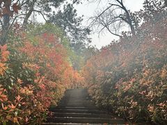 -虞山风景区