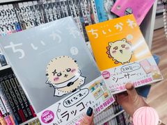 -Animate(秋叶原本馆)