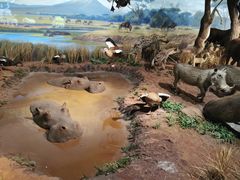 -陕西自然博物馆