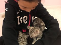 -三花喵·撸猫购宠·宠物生活馆(虹桥南丰城店)