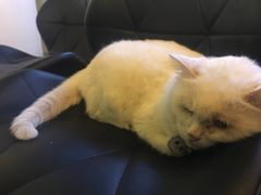 -Doors独立剧情密室(东门分店)