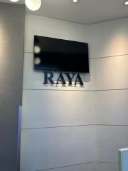 -RAYA韩国造型