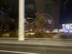 -琴岛之星摩天轮