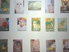 -MOCHA明星猫咖(田子坊店)