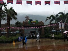 -雨林餐厅(长隆海洋王国店)