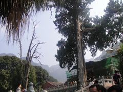 -灵光寺