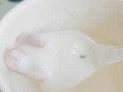 干果酸奶-撒拉花儿·新疆菜·清真(太阳宫店)