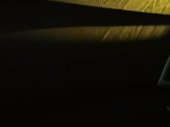 -常来老白莲鹅饭店(老城店)