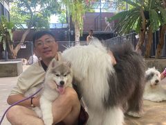 -TrueLove @ Neverland (Husky Cafe)