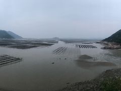 -北岐滩涂