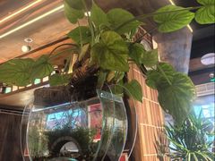 -巴卤社老火锅(财富店)