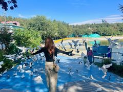 -水上乐园·欢乐世界