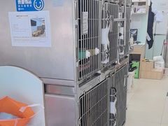 -宠福鑫康馨动物医院·骨科·眼科