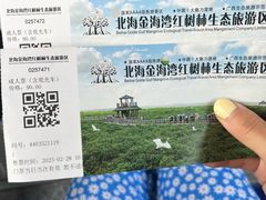 -北海金海湾红树林生态旅游区