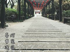 -白马涧龙池景区