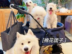 -小意思咖啡店(草桥店)