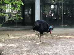-太原动物园
