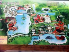 -太阳部落