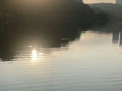 -重庆彩云湖湿地公园