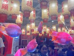 -朱光玉火锅馆(正弘城店)