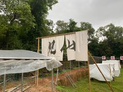 -海堤葡萄园中小学生研学基地