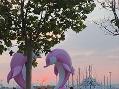 -东港音乐喷泉广场