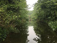 -桤木河湿地公园