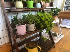 -长颈鹿咖啡(大学路店)