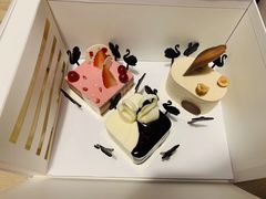 -BLACKSWAN黑天鹅(环球店)