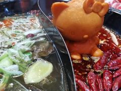 -渝大龙重庆火锅(温泉月亮湾店)