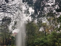-九龙公园