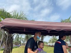 -南通洲际绿博园