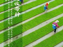 -成都恒博医院·全科检查