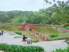 -神光山国家森林公园