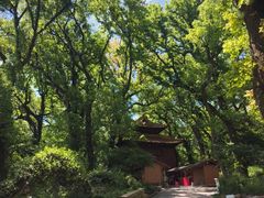-普陀山风景名胜区-法雨禅寺
