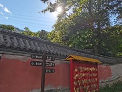 -阳台山自然风景区