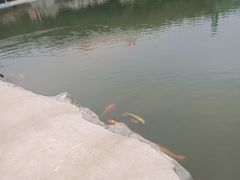 -威海华夏城景区