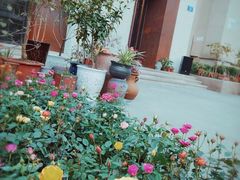 -江津如果餐厅(江津店)