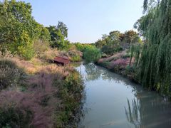-上海浦江郊野公园-5号停车场