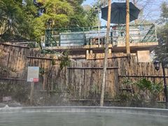 -花水湾第一村温泉大酒店