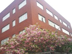 -北京师范大学附属中学