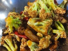 -云中小雅