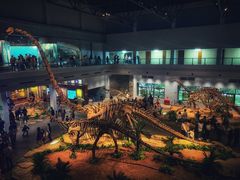 -自贡恐龙博物馆