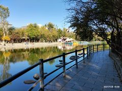 -老徐家柿子饼(北广济街店)