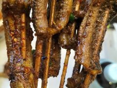 鳝鱼-晓靖轩烧烤(沙河风情店)