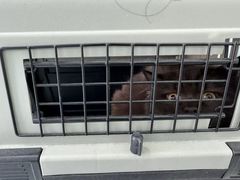 -纳吉亚猫专科动物诊疗中心(蒋宅口分院)