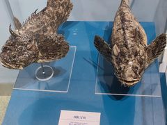 -大连自然博物馆