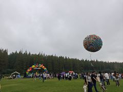 -黄海国家森林公园