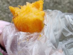 -雨花胜境
