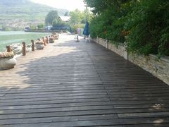 android_upload_pic-天鹅湖生态旅游风景区